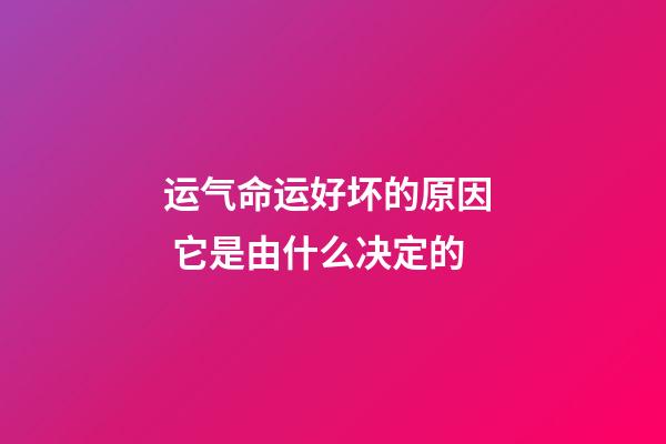 运气命运好坏的原因  它是由什么决定的